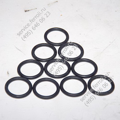 KIT O-RING          (35101210)